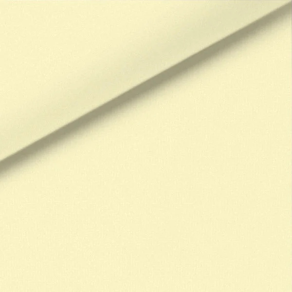 Shop and Save Cream Solid Broadcloth Dress Shirt